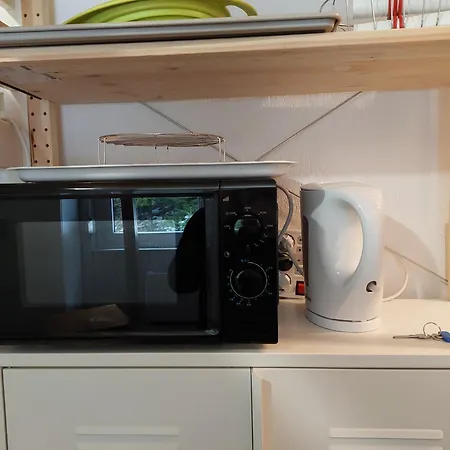Studio 319, Le Chitelet Apartment La Bresse